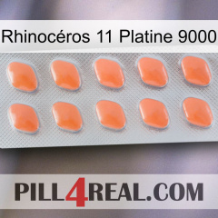 Rhinocéros 11 Platine 9000 26